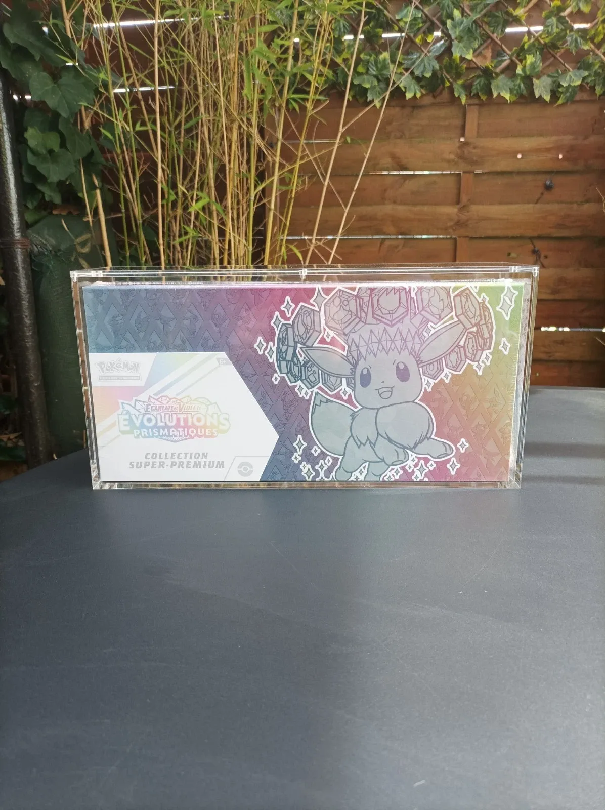 Protection acrylique SPC Evoli Pokémon
